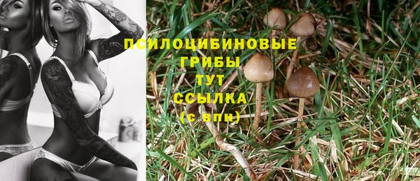 первитин Белокуриха